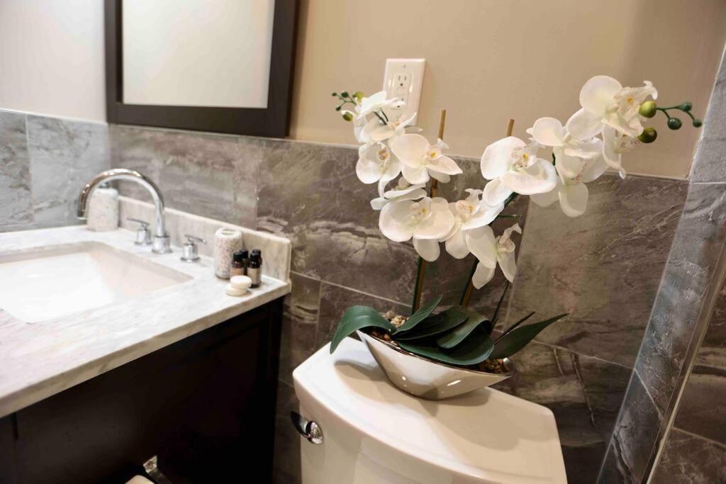 504 Luxe 1Bdr Apt In Center City フィラデルフィア エクステリア 写真